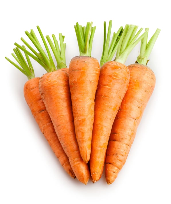 Carrot