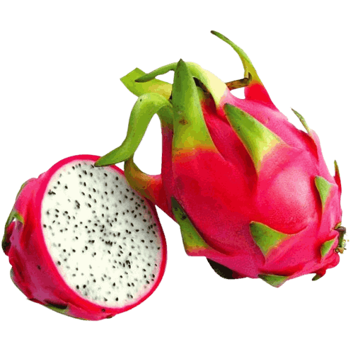 Dragon Fruit